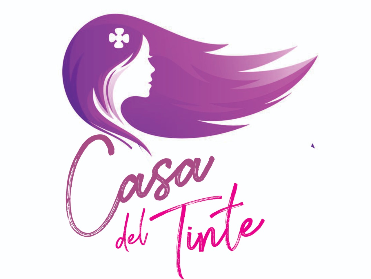 LA CASA DEL TINTE EMPRESA INDIVIDUAL DE RESPONSABILIDAD LIMTADA